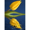 thumbnail image 1 of A Yellow Flower Reflected In Water Poster Print, 1 of 2