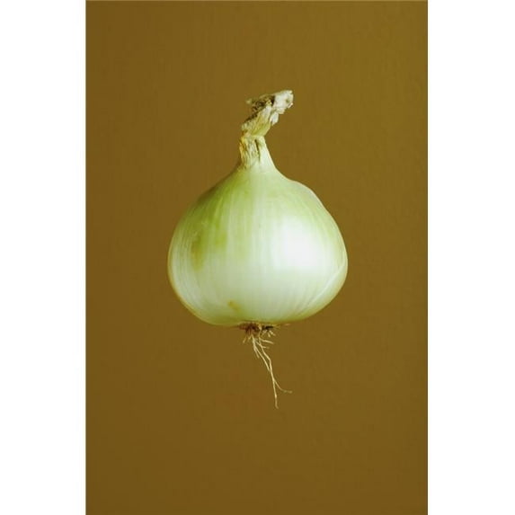 A Yellow Onion Poster Print by Darren Greenwood, 22 x 34 - Large