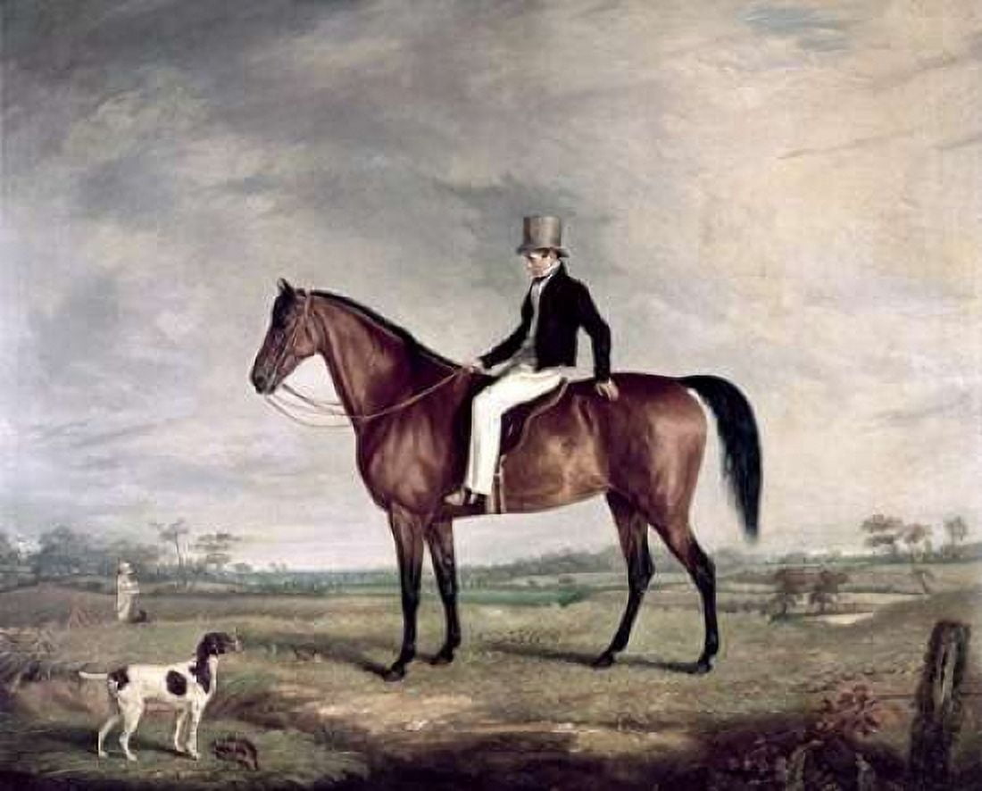 A Young Gentleman In a Grey Hat On a Bay Hunter Canvas Art - Abraham Cooper (24 x 30)