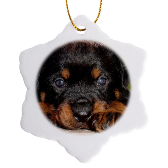 3drose, a Young Rottweiler Puppy with Head Resting Between Huge Paws, 3 inch Snowflake Porcelain Ornament