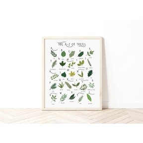A Z Of Trees Alphabet Print, Unframed Paper Poster 8x10in