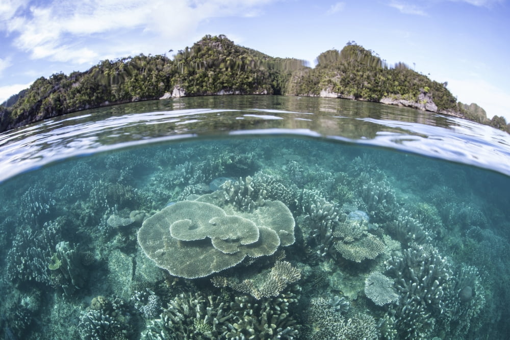 A beautiful coral reef grows near a set of limestone islands Canvas Art - Ethan DanielsStocktrek Images (17 x 12)