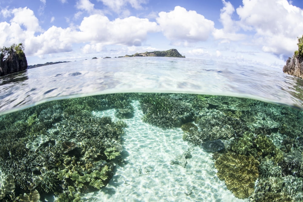 A beautiful coral reef grows near a set of limestone islands Canvas Art - Ethan DanielsStocktrek Images (34 x 23)