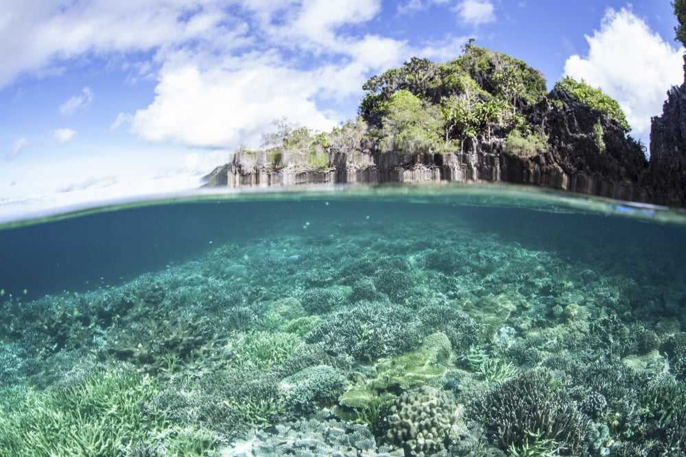 A beautiful coral reef grows near a set of limestone islands in Indonesia Canvas Art - Ethan DanielsStocktrek Images (34 x 23)