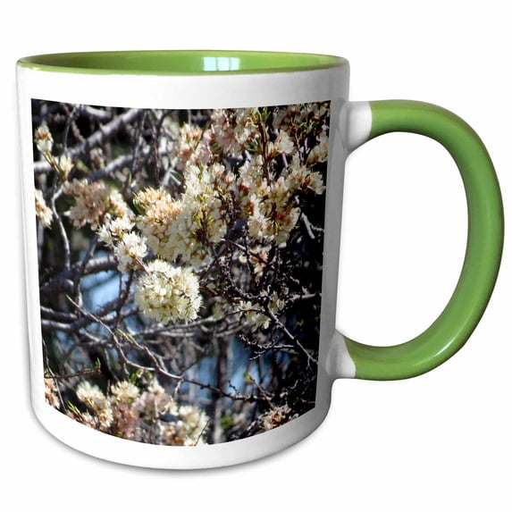 A beautiful white blooming tree in Springtime 11oz Two-Tone Green Mug mug-301809-7