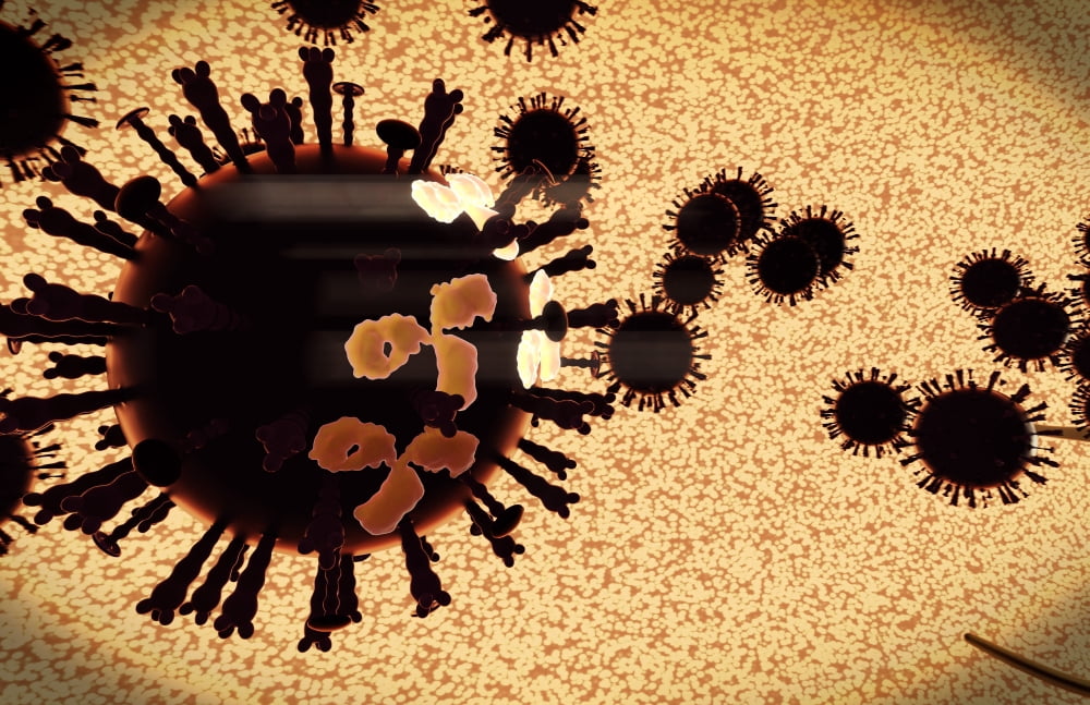 A black swarm of H5N1 avian flu viruses are attacked by antibodies Canvas Art - Stocktrek Images (18 x 12)