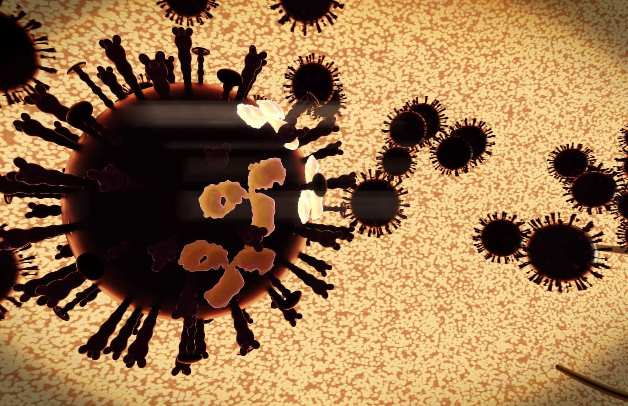 A black swarm of H5N1 avian flu viruses are attacked by antibodies Canvas Art - Stocktrek Images (35 x 23)