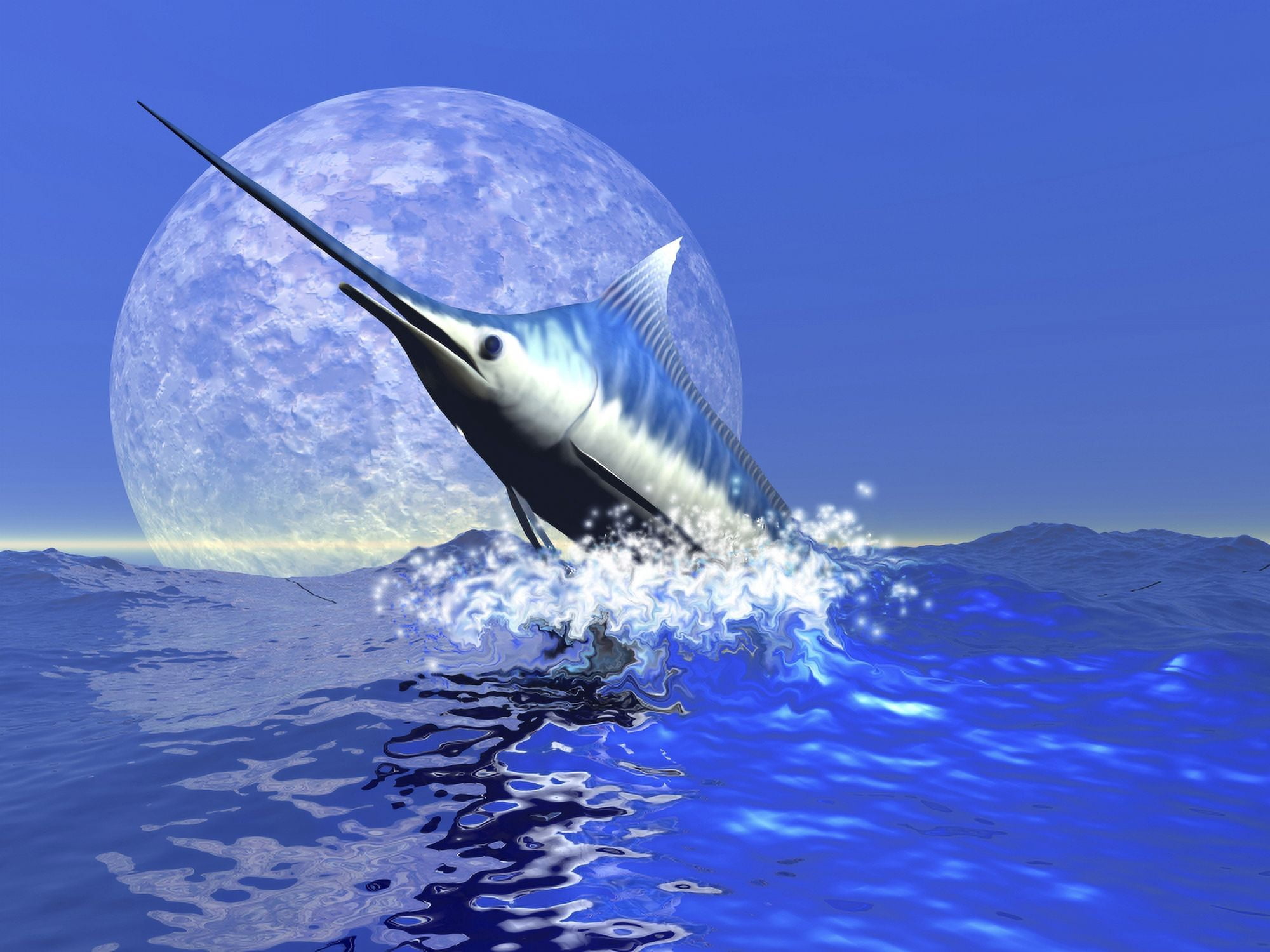 A blue marlin bursts from the ocean in a great splash Canvas Art - Corey FordStocktrek Images (33 x 25)