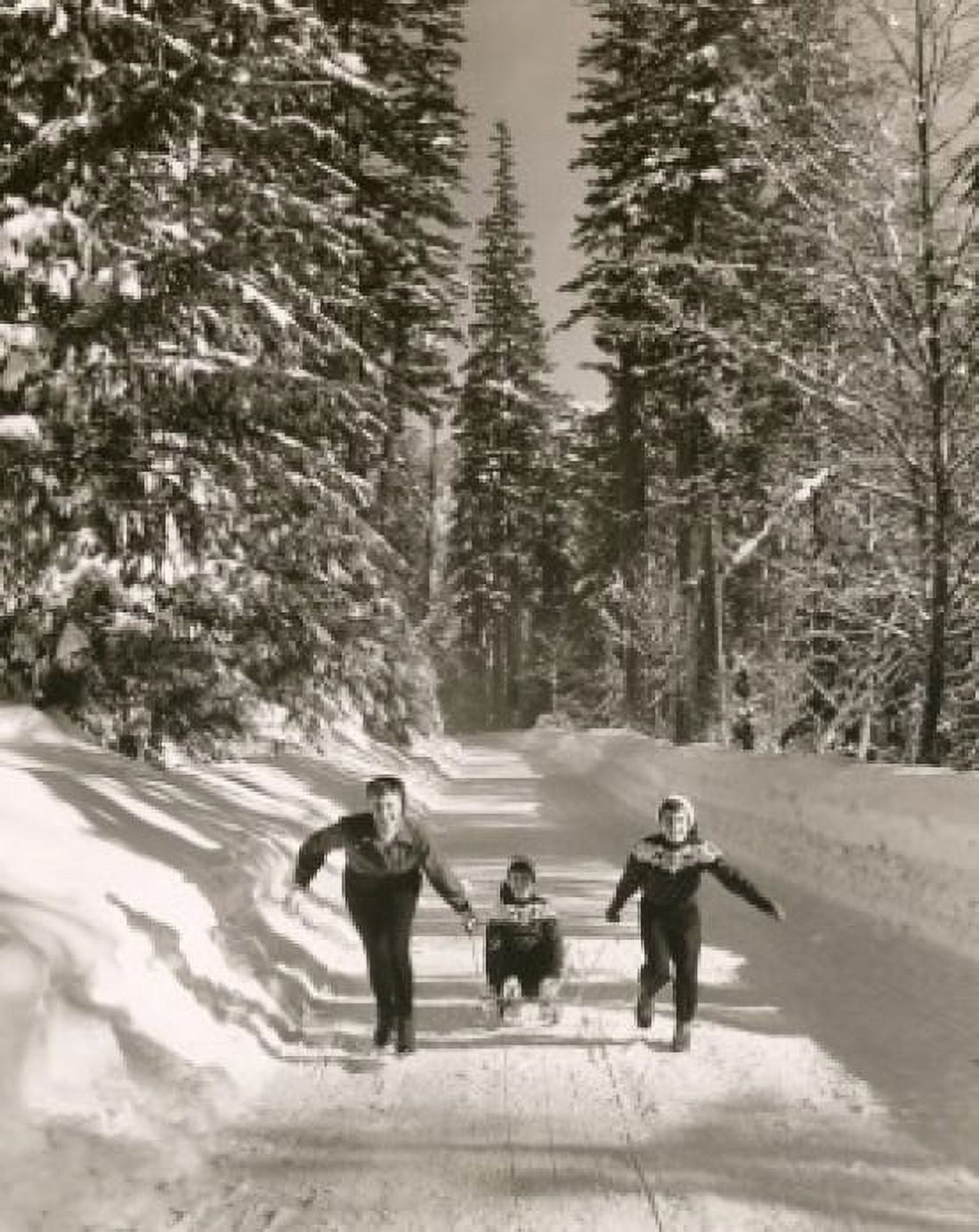 A boy being pulled by his mother and his sister on a sled Canvas Art - (24 x 36)