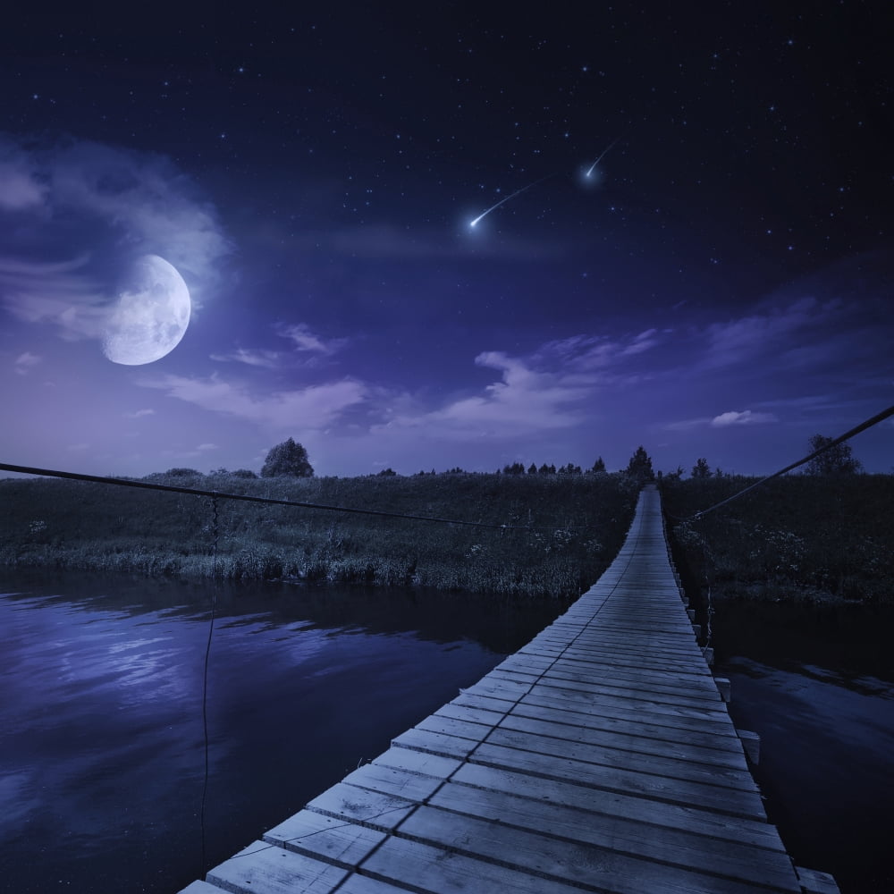 A bridge across the river at night against starry sky Russia Canvas Art - Evgeny KuklevStocktrek Images (29 x 29)