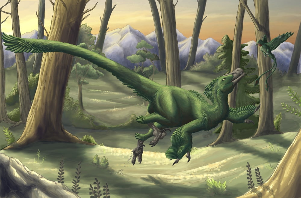 A bright green Velociraptor runs through a prehistoric forest Canvas Art - Emily WilloughbyStocktrek Images (18 x 12)