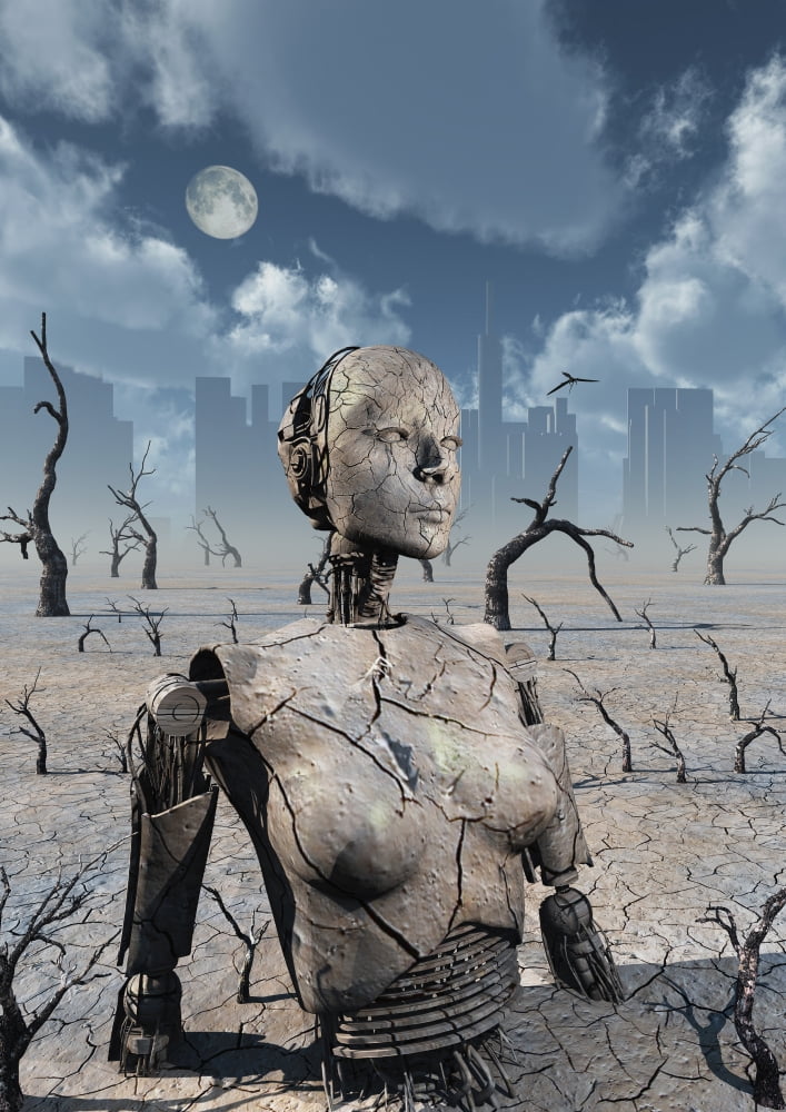A broken down petrified android robot Canvas Art - Mark StevensonStocktrek Images (12 x 17)