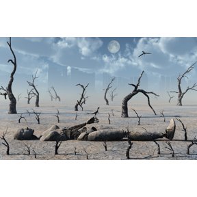 A broken down petrified android robot Canvas Art - Mark StevensonStocktrek Images (18 x 12)