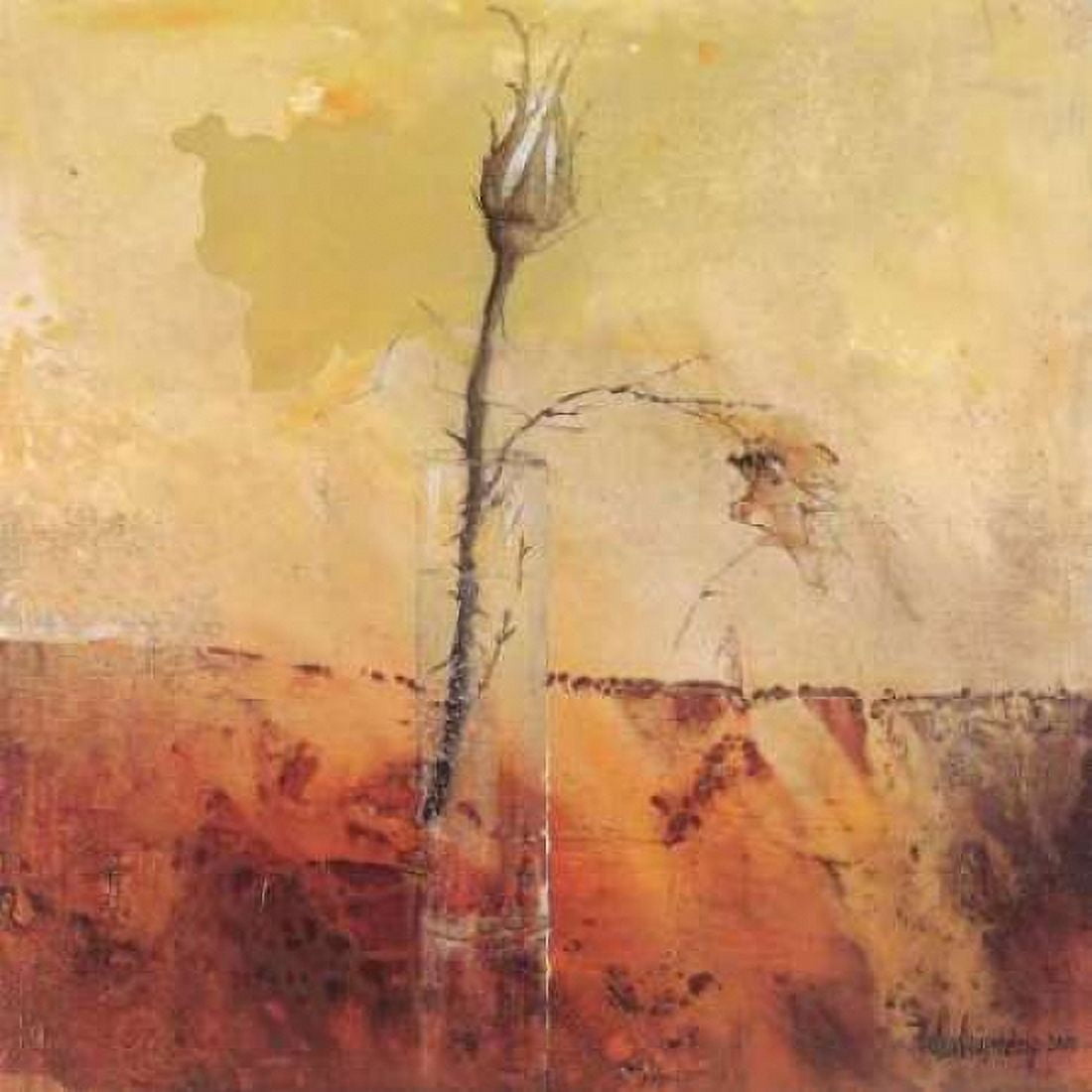 A budding beauty Canvas Art - Heleen Vriesendorp (24 x 24)