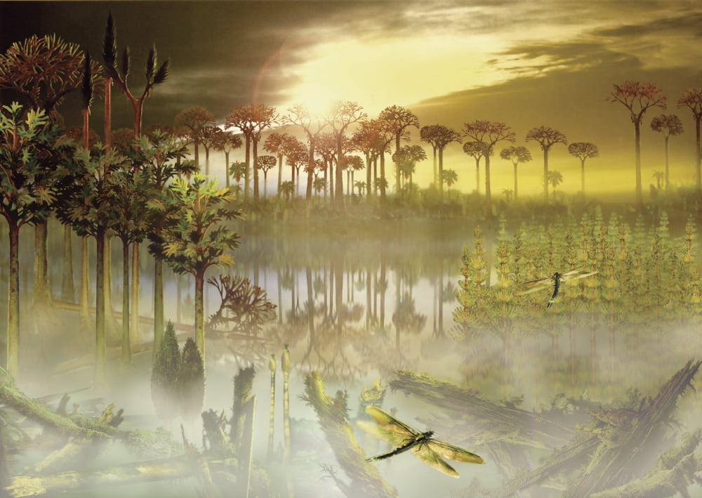 A carboniferous forest with mist rising above the waters Canvas Art - Jan SovakStocktrek Images (17 x 12)