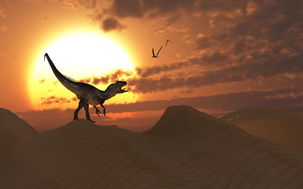 A carnivorous Allosaurus calling out across a desert landscape Canvas Art - Mark StevensonStocktrek Images (36 x 23)