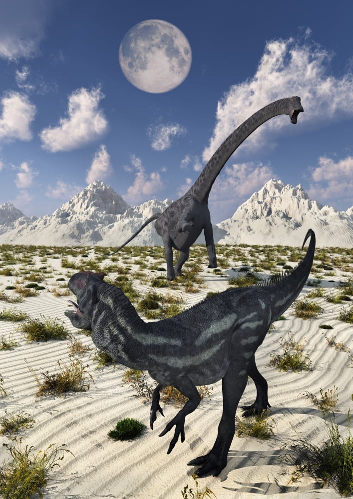 A carnivorous Allosaurus confronting a giant Diplodocus Canvas Art - Mark StevensonStocktrek Images (12 x 17)