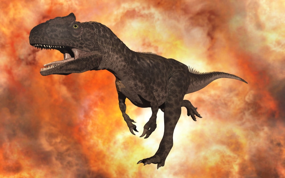A carnivorous Allosaurus from the late Jurassic period of time Canvas Art - Mark StevensonStocktrek Images (36 x 23)