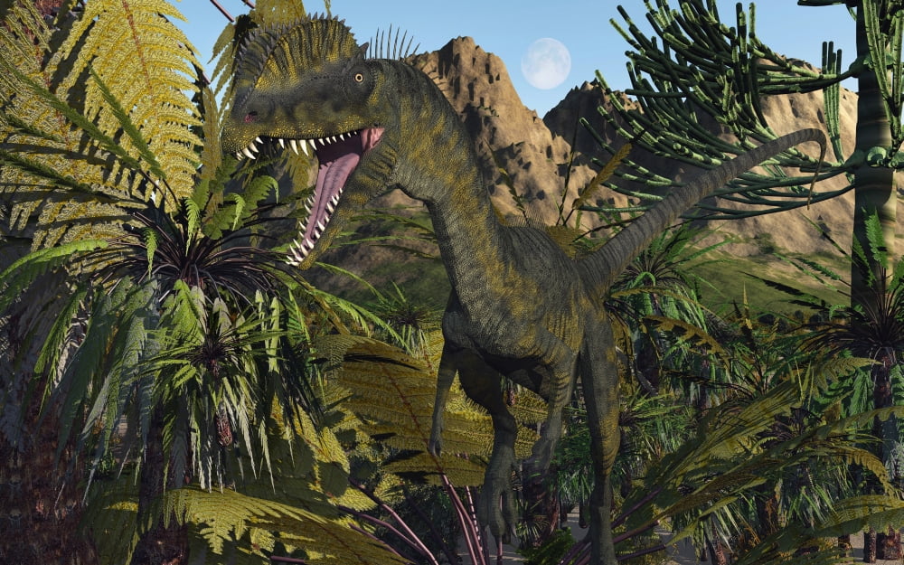 A carnivorous Dilophosaurus looking for its next meal in a Jurassic forest Canvas Art - Mark StevensonStocktrek Images (36 x 23)