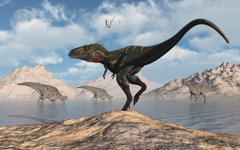 A carnivorous Nanotyrannus stalking a herd of Corythosaurus Canvas Art - Mark StevensonStocktrek Images (18 x 12)