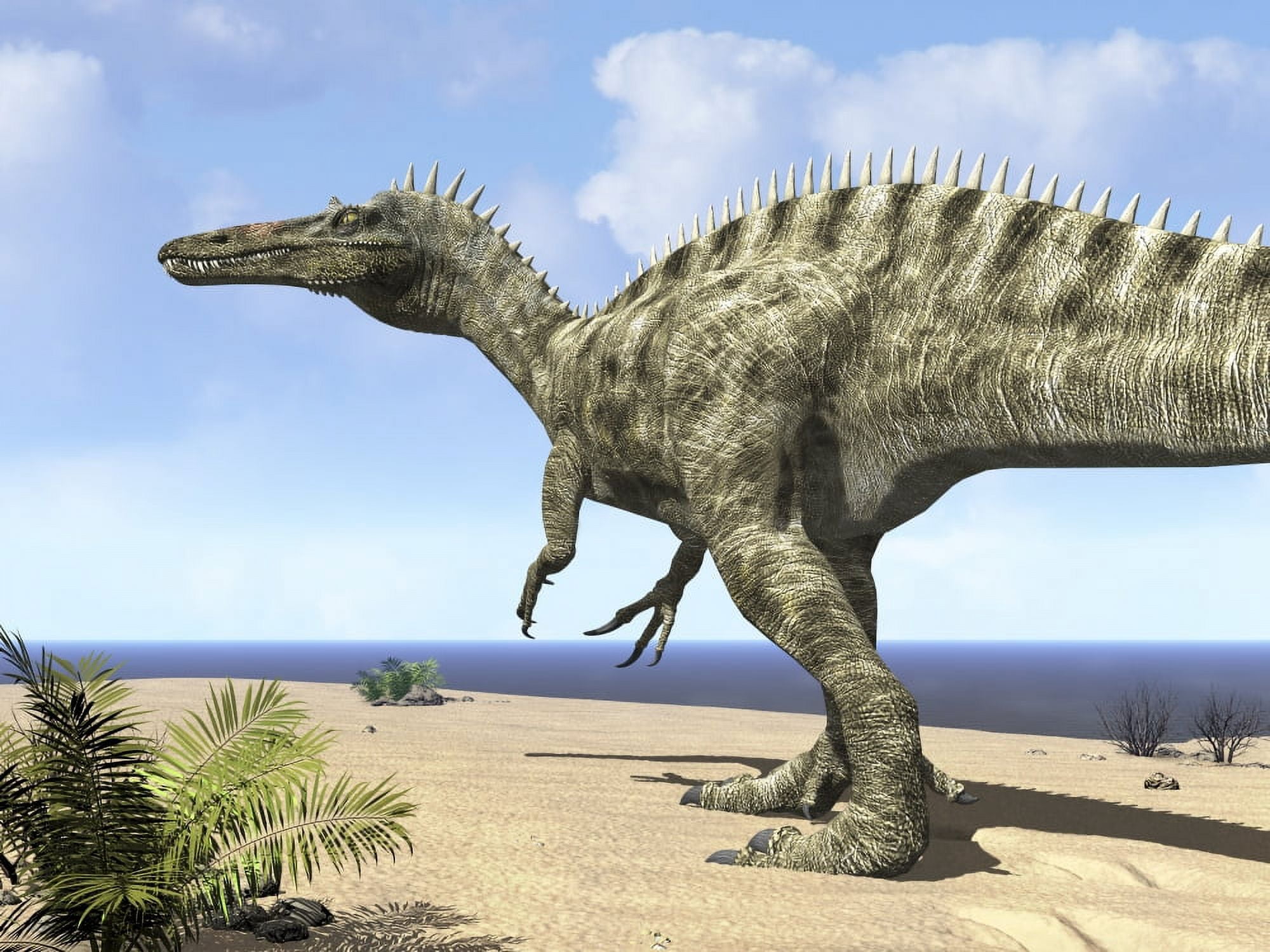 A carnivorous Suchomimus wanders a beach on the ancient Tethys Ocean Canvas Art - Walter MyersStocktrek Images (17 x 13)