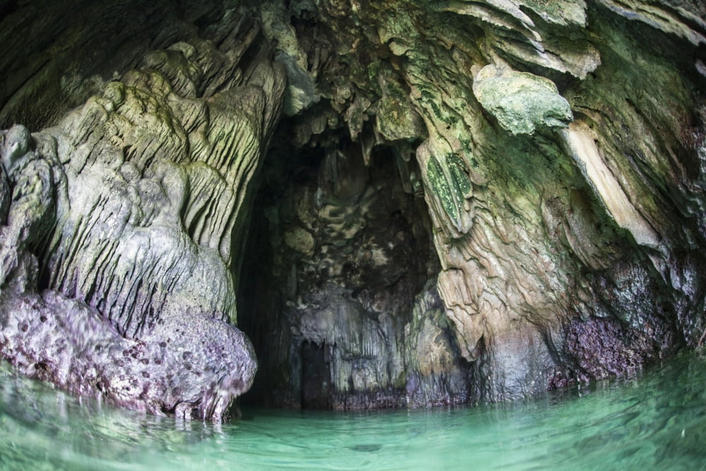 A cave has formed inside a limestone island in Raja Ampat Canvas Art - Ethan DanielsStocktrek Images (17 x 12)