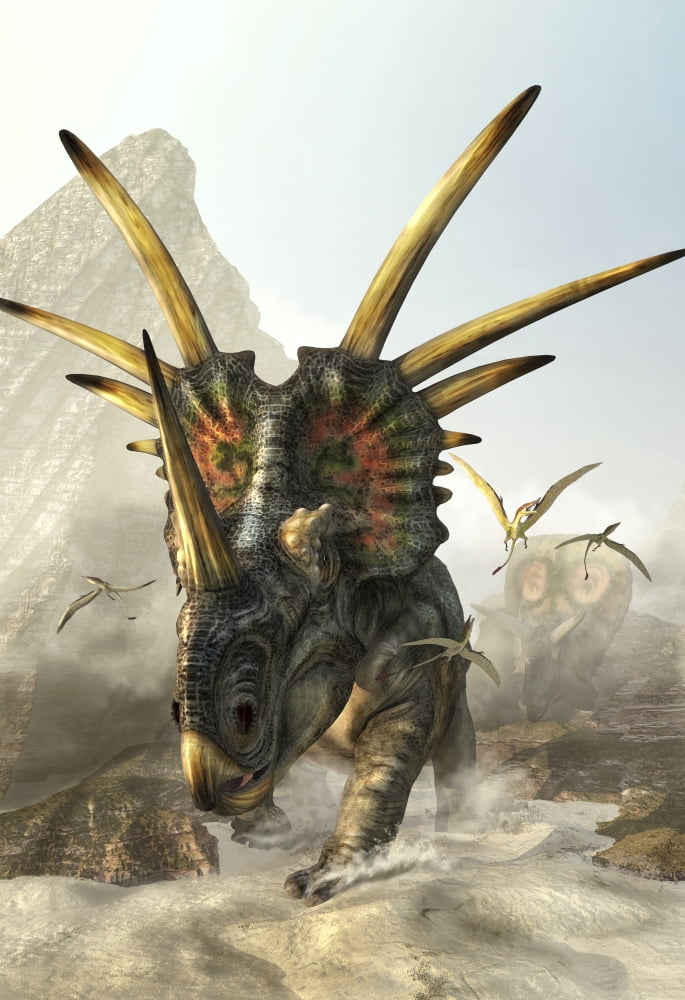 A charging Styracosaurus Canvas Art - Kurt MillerStocktrek Images (24 x 34)