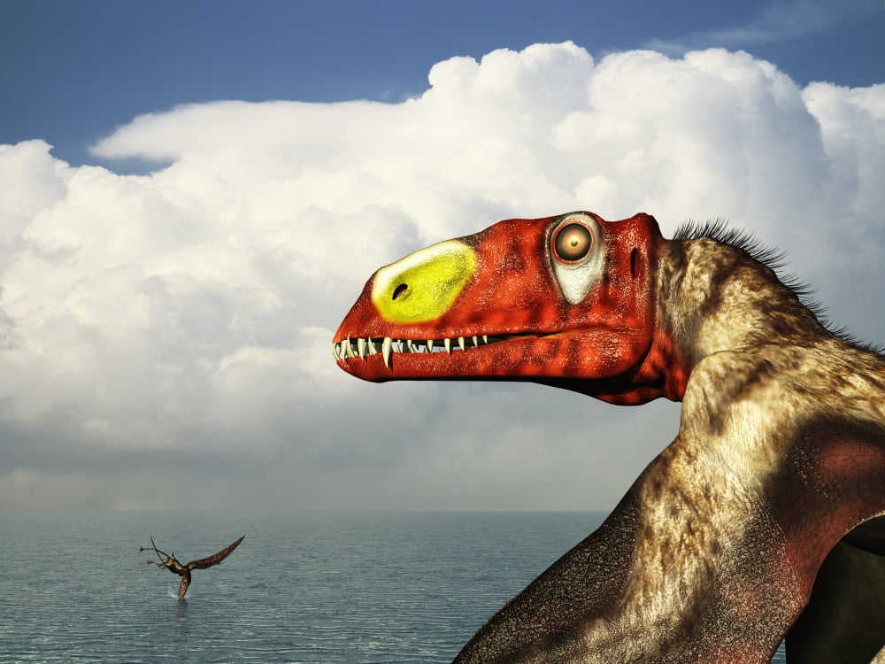 A close-up of a colorful large-billed Dimorphodon Canvas Art - Walter MyersStocktrek Images (33 x 25)