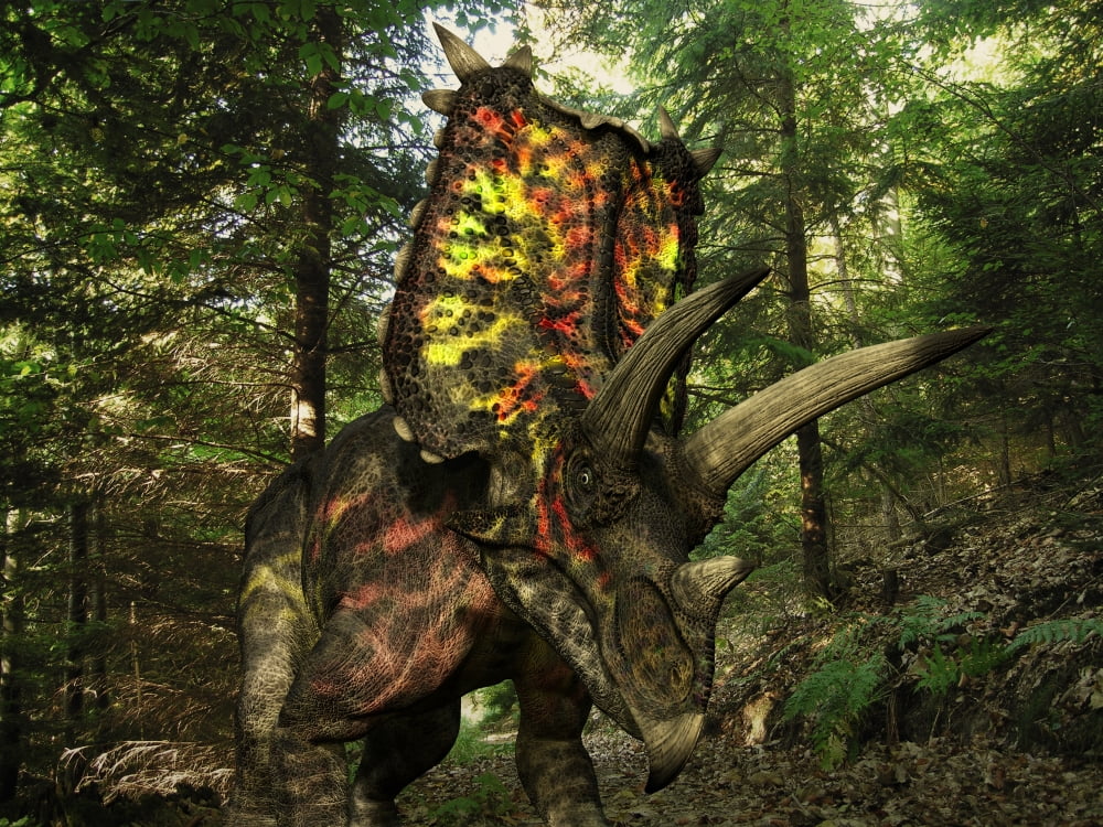 A colorful Pentaceratops wanders a Cretaceous forest Canvas Art - Walter MyersStocktrek Images (33 x 25)