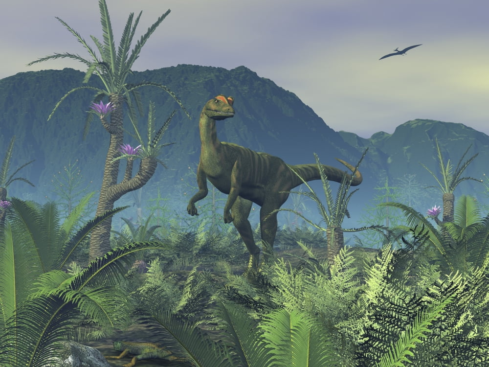 A colorful adult male Dilophosaurus explores a hilltop Canvas Art - Walter MyersStocktrek Images (33 x 25)