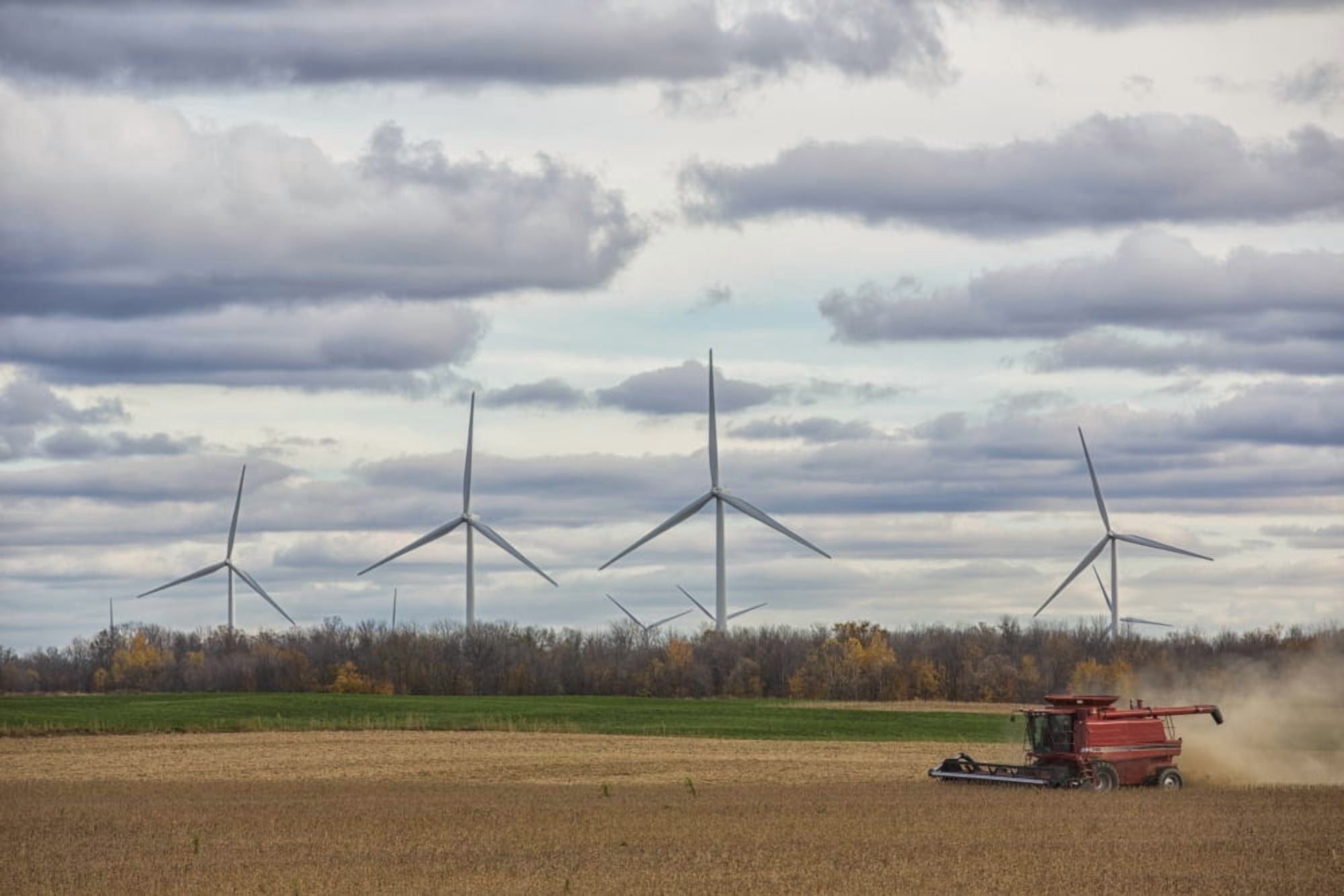 A combine harvests soybeans while wind turbines spin in the distance Strathroy Ontario Canada Canvas Art - Robert Postma Design Pics (38 x 24)