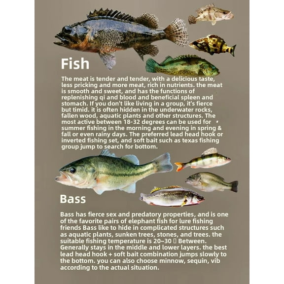 A complete fishing kit for novice anglers, including crawfish glitter T tail float, Minnow and other full water lures