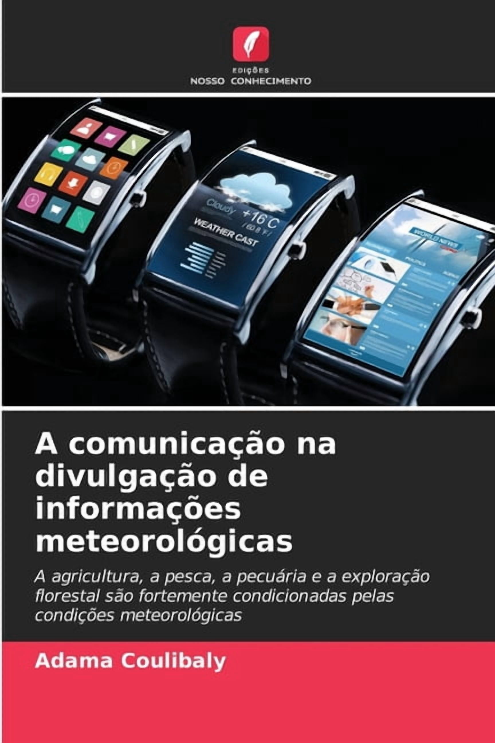 A comunicaÃ§Ã£o na divulgaÃ§Ã£o de informaÃ§Ãµes meteorolÃ³gicas, (Paperback)