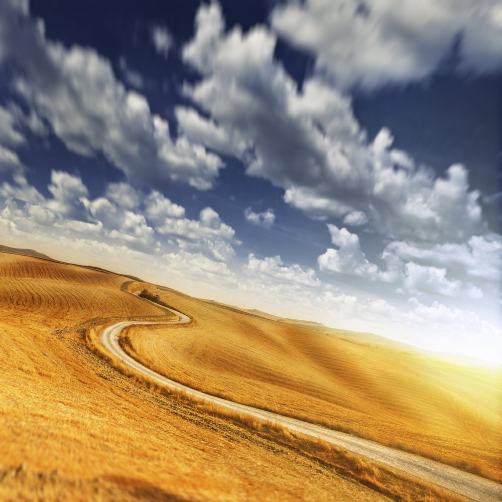 A country road in field against moody sky Tuscany Italy Canvas Art - Evgeny KuklevStocktrek Images (29 x 29)