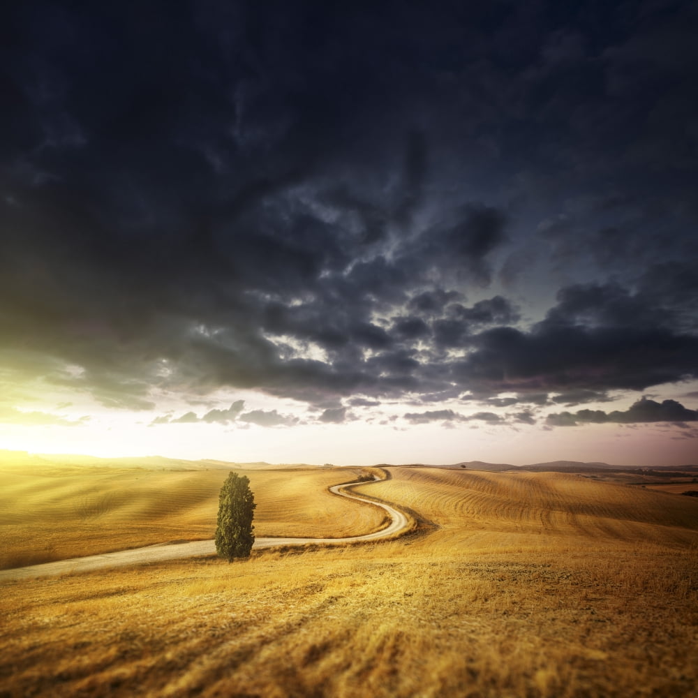 A country road in field at sunset against moody sky Tuscany Italy Canvas Art - Evgeny KuklevStocktrek Images (29 x 29)