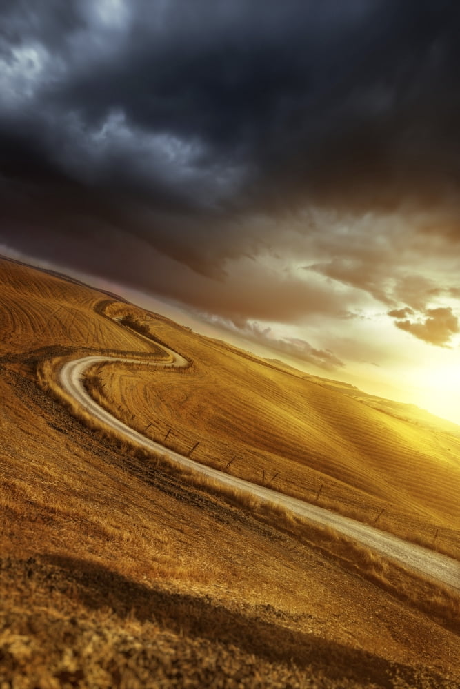 A country road in field at sunset against stormy clouds Tuscany Italy Canvas Art - Evgeny KuklevStocktrek Images (23 x 35)