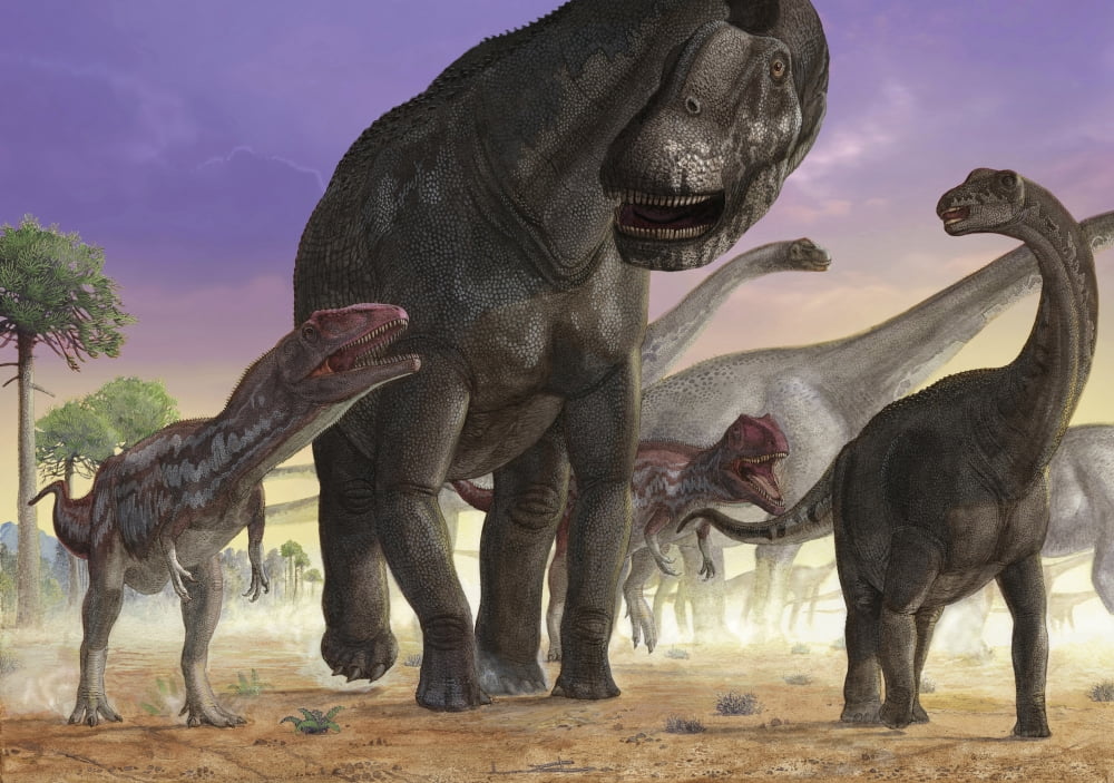 A couple of predator Mapusaurus try to isolate a herd of sauropods Canvas Art - Sergey KrasovskiyStocktrek Images (34 x 24)