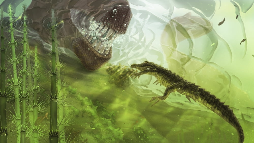 A curious Koumpiodontosuchus eyes a Neovenator Canvas Art - Alice TurnerStocktrek Images (19 x 11)