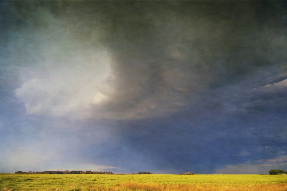 A curving gust front at the edge of a summer thunderstorm Eckville Alberta Canada Canvas Art - Roberta Murray Design Pics (19 x 12)