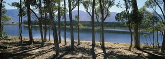 A dam on a farm in Hermon South Africa Canvas Art - Panoramic Images (36 x 13)