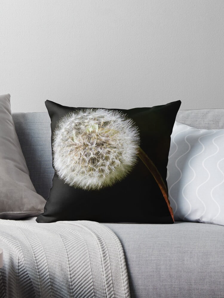 A dandelion clock is a very strange clock... This brings back childhood ...