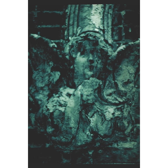 A dark woods' summation, (Paperback)