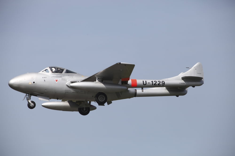 A de Havilland DH 112 Venom jet trainer of the Swiss Air Force Canvas Art - Timm ZiegenthalerStocktrek Images (35 x 23)