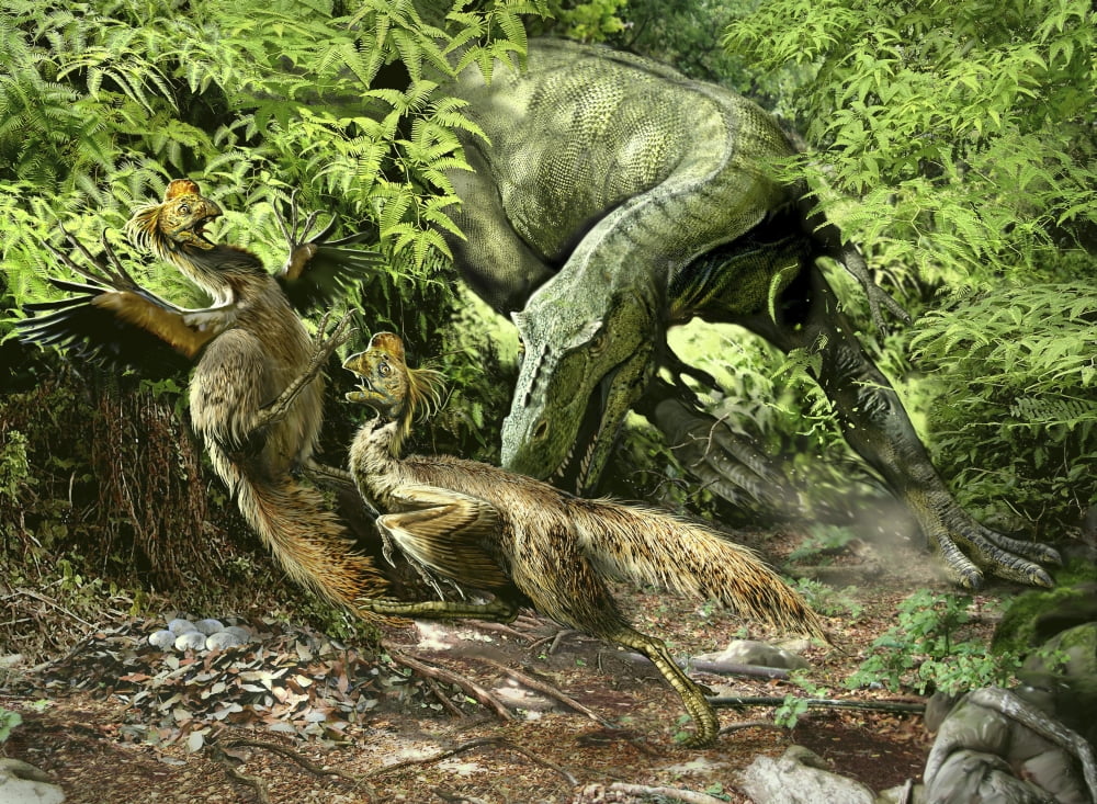 A deadly Alioramus suprises a pair of nesting Oviraptors Canvas Art - Jan SovakStocktrek Images (33 x 24)