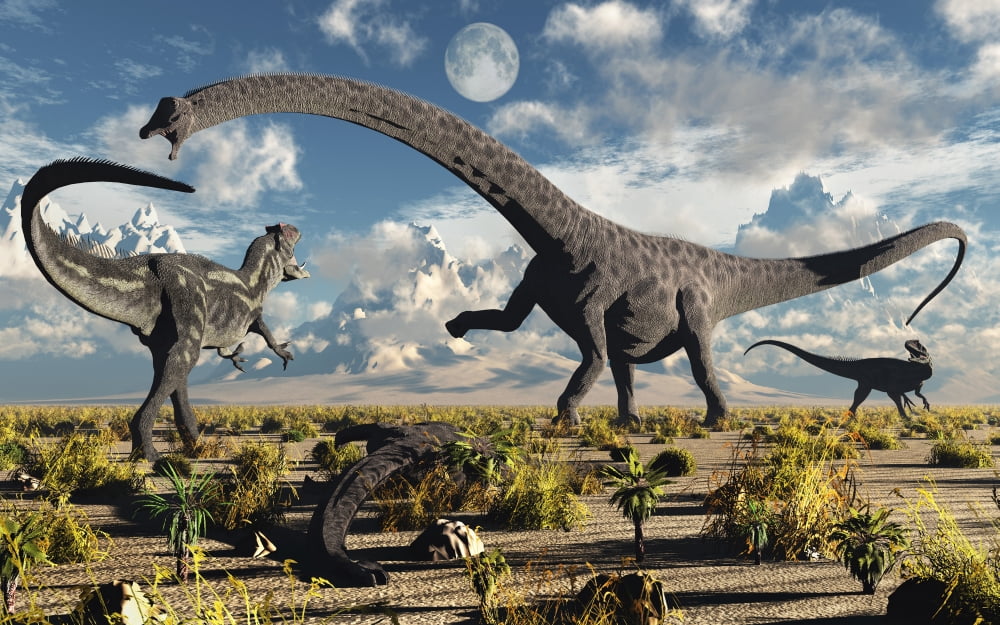 A deadly confrontation between a Diplodocus and a pair of Allosaurus Canvas Art - Mark StevensonStocktrek Images (36 x 23)