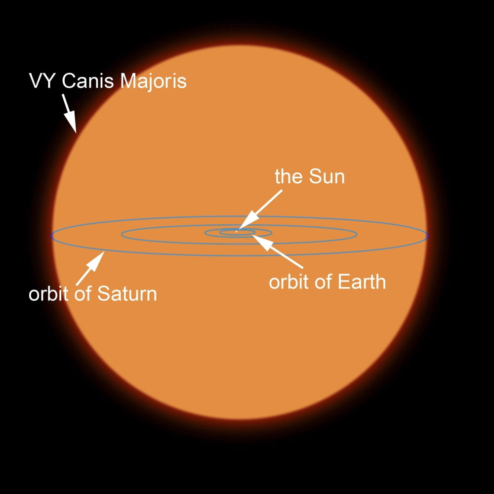 A diagram comparing the Sun to VY Canis Majoris Canvas Art - Ron MillerStocktrek Images (28 x 28)