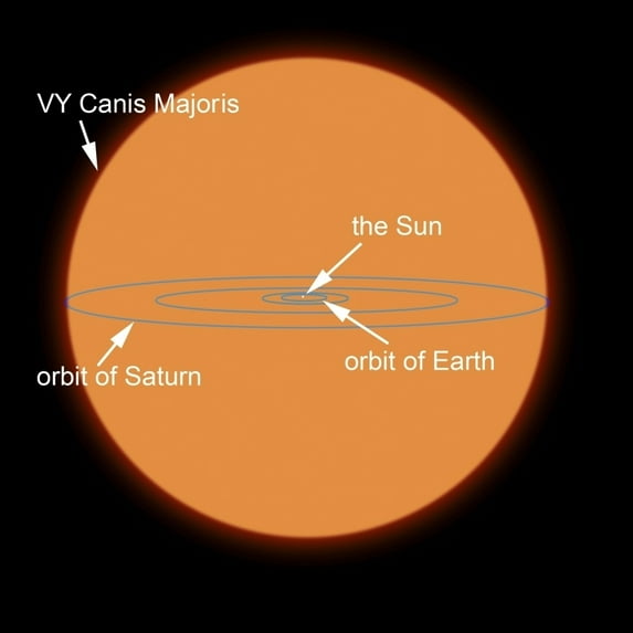 A diagram comparing the Sun to VY Canis Majoris Poster Print