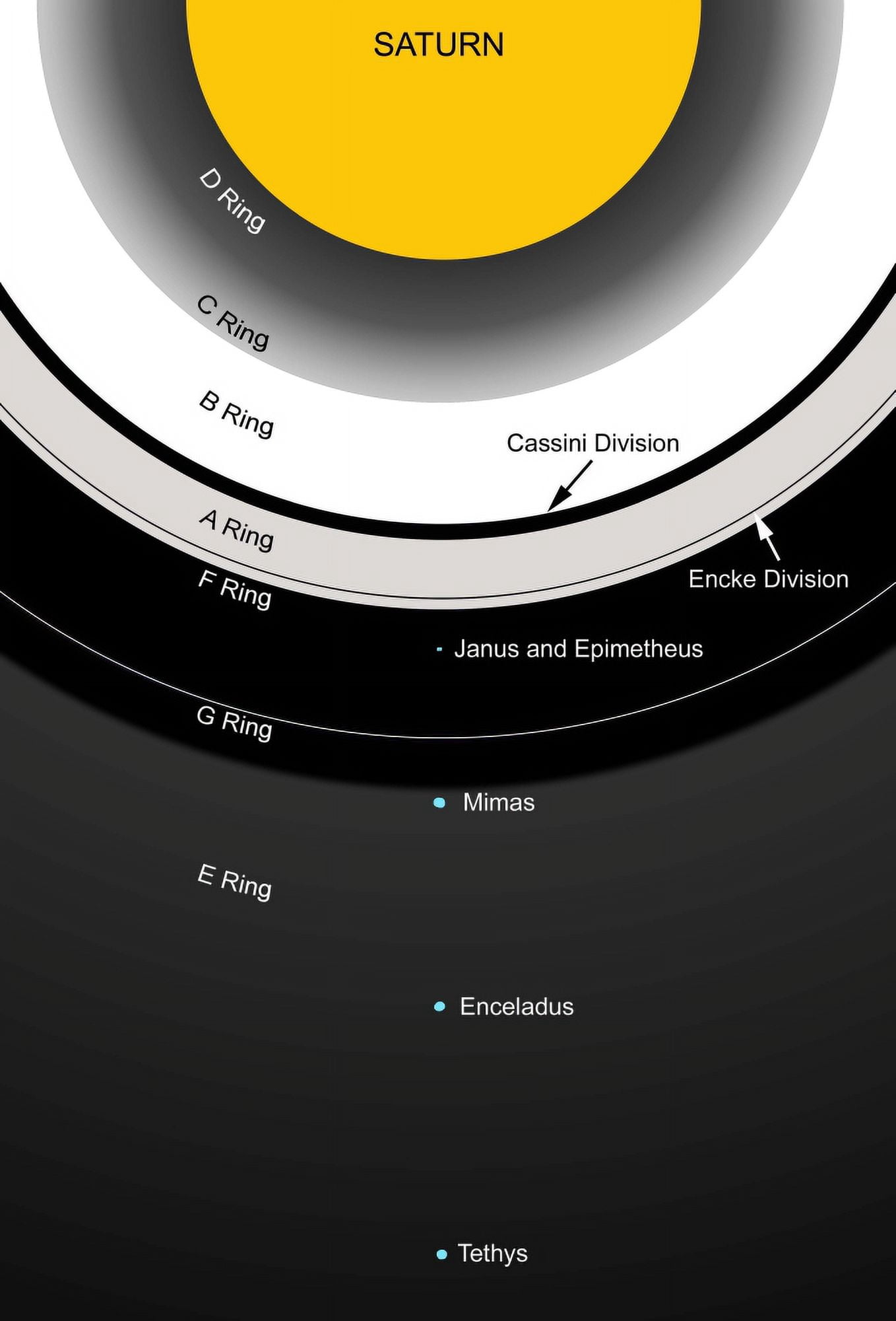 A diagram showing the major features of Saturns rings Canvas Art - Ron MillerStocktrek Images (12 x 17)