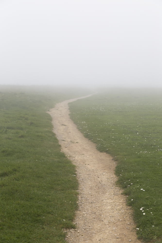 A dirt path in the fog South Shields Tyne and Wear England Canvas Art - John Short Design Pics (12 x 19)