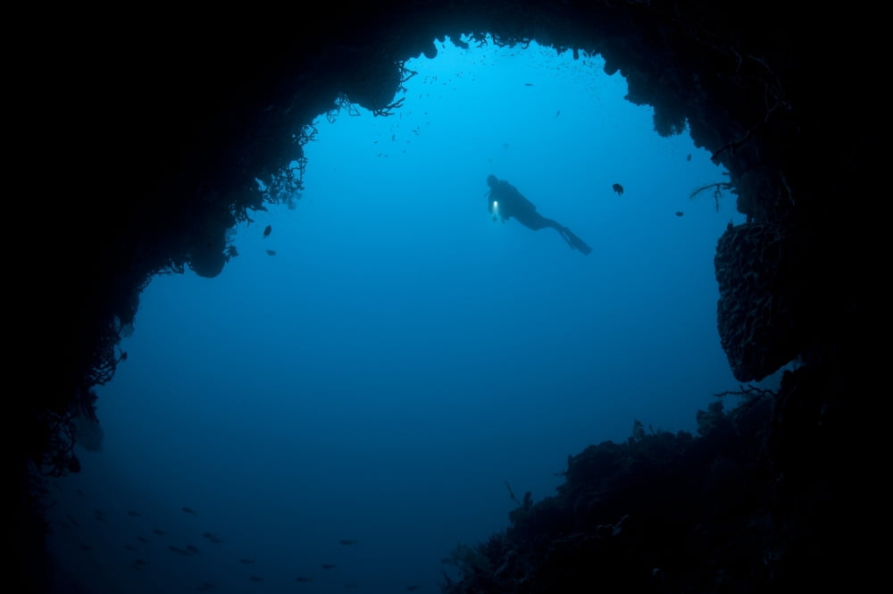 A diver explores a cavern in Gorontalo Sulawesi Indonesia Canvas Art - Steve JonesStocktrek Images (18 x 12)